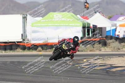 media/Jan-17-2026-CVMA (Sat) [[ab348a895b]]/Race 7- Formula 40 MW and LW/